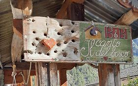 Il canto del bosco
